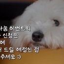 도자기랑그림이랑 이미지