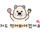 새로미트 이미지