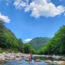 금강산가는길 이미지