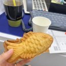 챙이날골 | [속초,강릉] 굿바이 ! 12월 ( +레이드백,호우스 ,만카오,테일 포터리 스튜디오 )