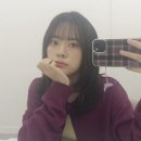 스프링플랜 네이버블로그