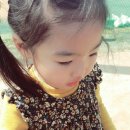 을숙도 리틀야구장 이미지