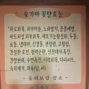 부산 근교 찜질방 양산 “진목 참숯가마”, 통도사 다정한식 : 찜질 이용후기, 파전맛집