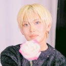 모먼트엑스