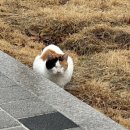 경기대학교 교육대학원 | 경기대학교교육대학원 사서교육전공 최초합 후기