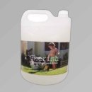 체리쉬퍼피 이미지