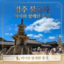 언론기관부설 | 🐻​​🏯 경주 가볼 만한 곳! 아이와 경주 불국사 주차장 명당, 입장료, 숨은 복돼지 찾기 꿀팁 (feat.경주...