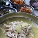 임원리초계국수 | 삼척 장호비치캠핑장 주변 맛집 모음