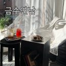 하귤과보리 | 연남동 금수연남 애견동반 카페 티라미수 맛집