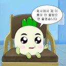 풍십리향 | 12월~1월 일상🫠