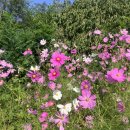 타이어프로신갈점 이미지