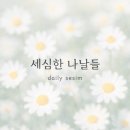 돈꽃대패