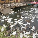 은정농장 이미지