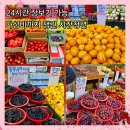 시장청년야채과일