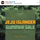 카페 시도 | 외도동 신상 베이커리 카페 솔직후기 _시도