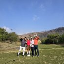 타이거컨설팅 | 뼈속까지 타이거에 진심인 타이거CC 라운딩후기