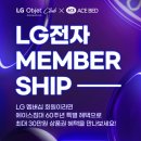 에이스브라운클럽 네이버블로그
