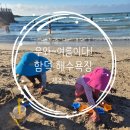 제주함덕카페라라떼 | [제주도 2주살기] 아이랑 함덕해수욕장 물놀이, 게도잡고, 물고기도 잡고, 수영도하고^^