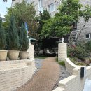 꿈의숲동물병원 | 북서울꿈의숲 반려동물 동반 테라스 카페 하늘꿈터