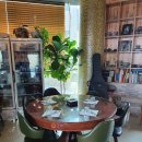 페이지레스토랑 이미지