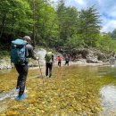 꿈속여행 이미지