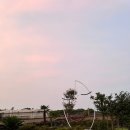 비자림빌리지3 이미지