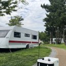 로봇 '개미'가 캠핑장에서 생수와 장작도 나르네요! 이미지