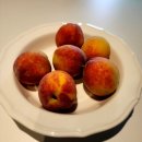 팜 라이프 | 🍑올여름 우리 집 최애 간식✔️ 아이들도 반한 경산 옹골찬 조생황도 복숭아 후기 (라이프팜)