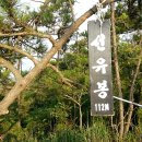 군도1호 이미지