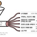 윤영농장 이미지