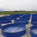 태수아쿠아 이미지