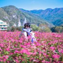 먹골민박 이미지