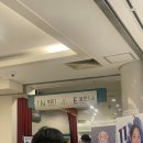 프로체육관 | 25 프로여자배구 김천 실내체육관 도로공사 직관후기 !!