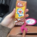 빛고을 | 임신 중기 : 쌍둥이 정밀초음파 시기, 후기 / 빛고을 여성병원