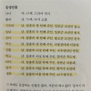 엠제트노래타운 | [연극] <빵야> - 출연진 후기, 관람평, 작품 해석 분석 | 24.07.21. 박성훈 김국희 최정우 | 전쟁 속에...