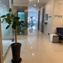 올플란트치과의원 이미지