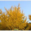 성지요양병원 이미지