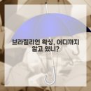 왁싱부부