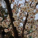 용두공원 앞 이미지