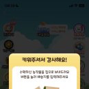 올팜