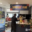 갑진