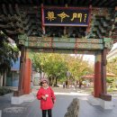 대구 약령시장 이미지