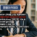 정치(politics)란 무엇인가? | IB Global Politics 자세하게 알고 대학 진학 준비