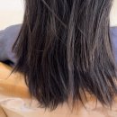 스마일하우스 | 센텀시티 미용실 스마일스타일하우스 여쿨라 매트브라운 염색 내돈내산 후기