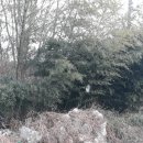 소구월사거리 이미지