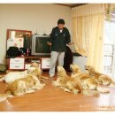 그랑샤리오 이미지