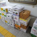농수산시장 Daum카페