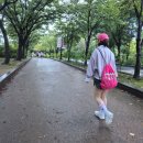 영  대 | 2025 산리오X올리브영 큐티런 참가 후기 : 런생아의 첫 10km 완주