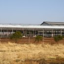 영광목장 이미지