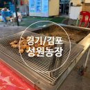 25LPG충전소 | [경기/김포] 성원농장 고촌역 맛집 풍자 또간집 삼겹살 닭볶음탕 야장 닭도리탕 내돈내산 후기